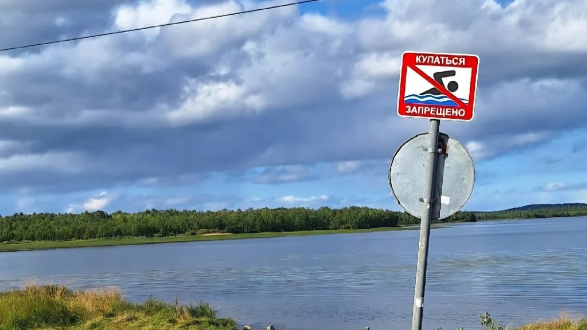 Дорожные знаки ограничения въезда возле озера летом.