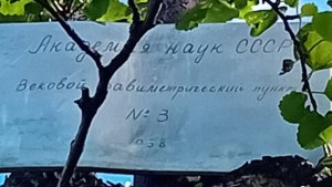 В 100 метрах от «Таинственного леса»: в Кировске нашли гравиметрический пункт Академии наук