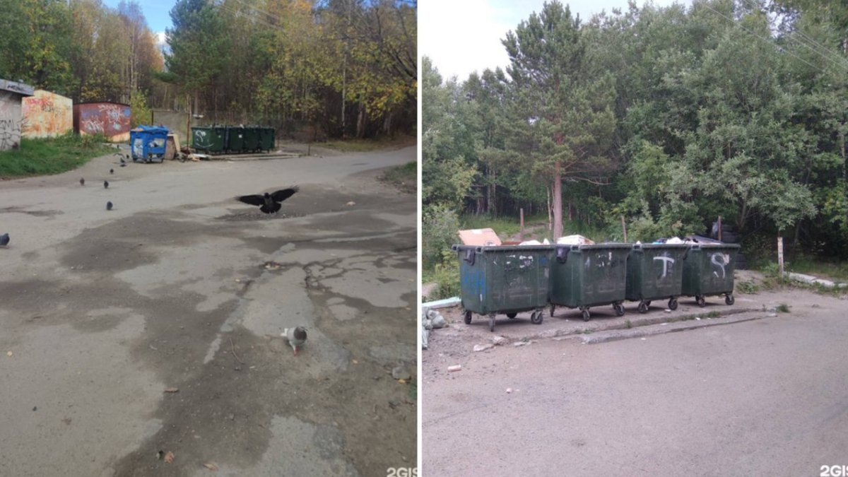 Старая мусорная площадка в Мончегорске