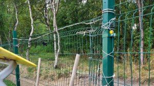 Погнули ограждение, засыпали песком урны: в Североморске вандалы добрались до собачьей площадки