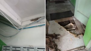«Творится беспредел»: из стен мурманской шестиэтажки на Гаджиева от сырости валятся кирпичи
