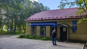 В Мурманской области ветклиники срочно приостановили применение вакцины «Мультикан»