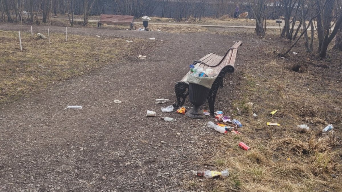 Мусор в городском сквере