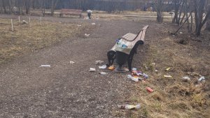 «Каждую ночь — бесконечные вопли и музыка»: в шуме у сквера на Осипенко в Мурманске жители винят скамейки