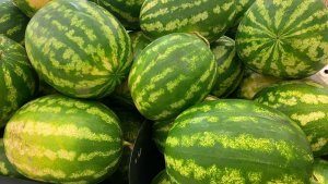 Забег с сочным вкусом: в Кандалакше вновь пройдёт знаменитый «Арбузный кросс»