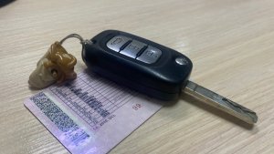 В Мончегорске пьяный водитель-бесправник штурмовал во дворе бордюры на «Ладе»