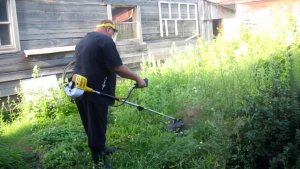 О чём не пишут в инструкциях к триммеру: ткак косить траву у забора и садовых дорожек, чтобы не повредить инструмент и не оставить «ёжика»