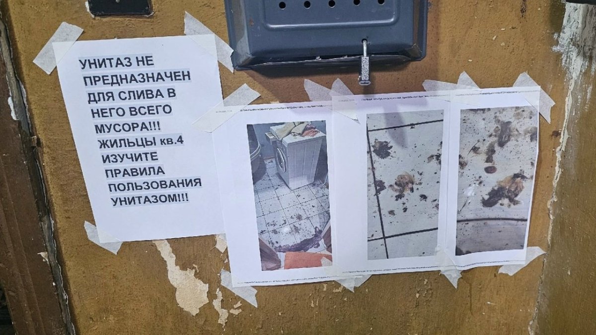 Объявления, висящие не стене подъезда возле почтового ящика.