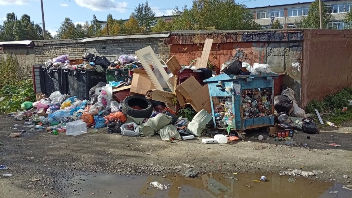 Погрязшая в мусоре контейнерная площадка.