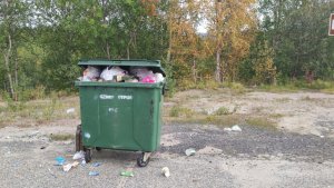 «Хлам уже по лесу разлетается»: северяне предложили убрать мусорный контейнер у водопада в Никеле