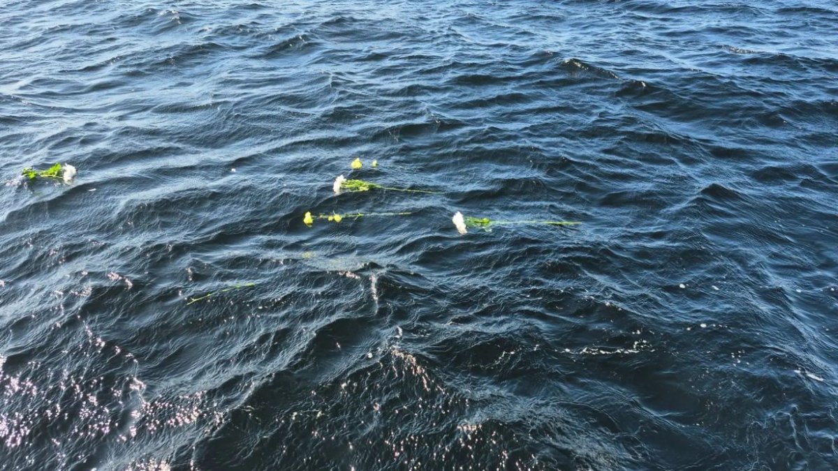 Цветы лежат на глади моря летом днем в солнечную погоду.