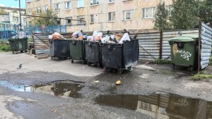 «Периодически горят отходы»: на Аскольдовцев в Мурманске мусорные баки поставили рядом с газгольдером