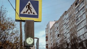 Мусор на обочину в шаге от урны: в Каедалакше водитель устроил «свалку» по дороге к школе