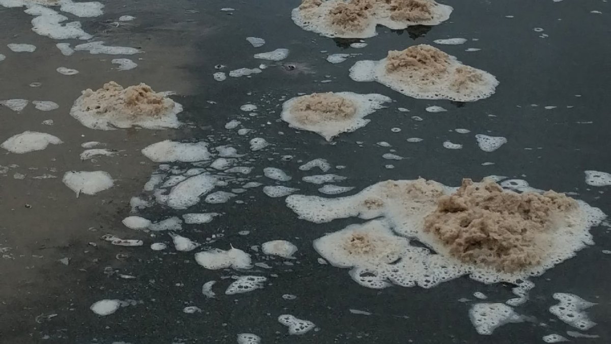 Грязная пена на берегу моря.