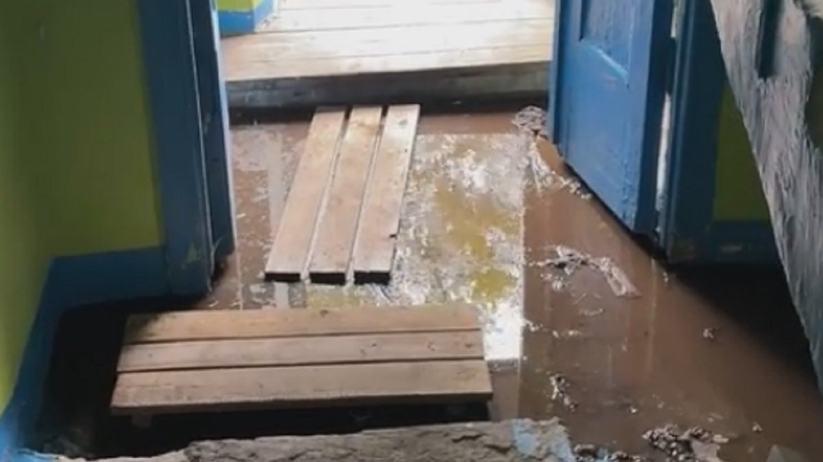 Высаженный в землю саженец сирени в городе.