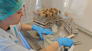 «Не просто шкаф, а сложный инженерный комплекс»: в Мурманской ветлаборатории установили инновационное оборудование