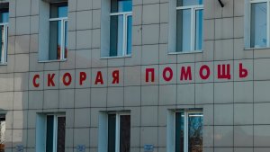 Инспектор нарушил правила: в заповеднике «Остров Врангеля» белый медведь напал на человека