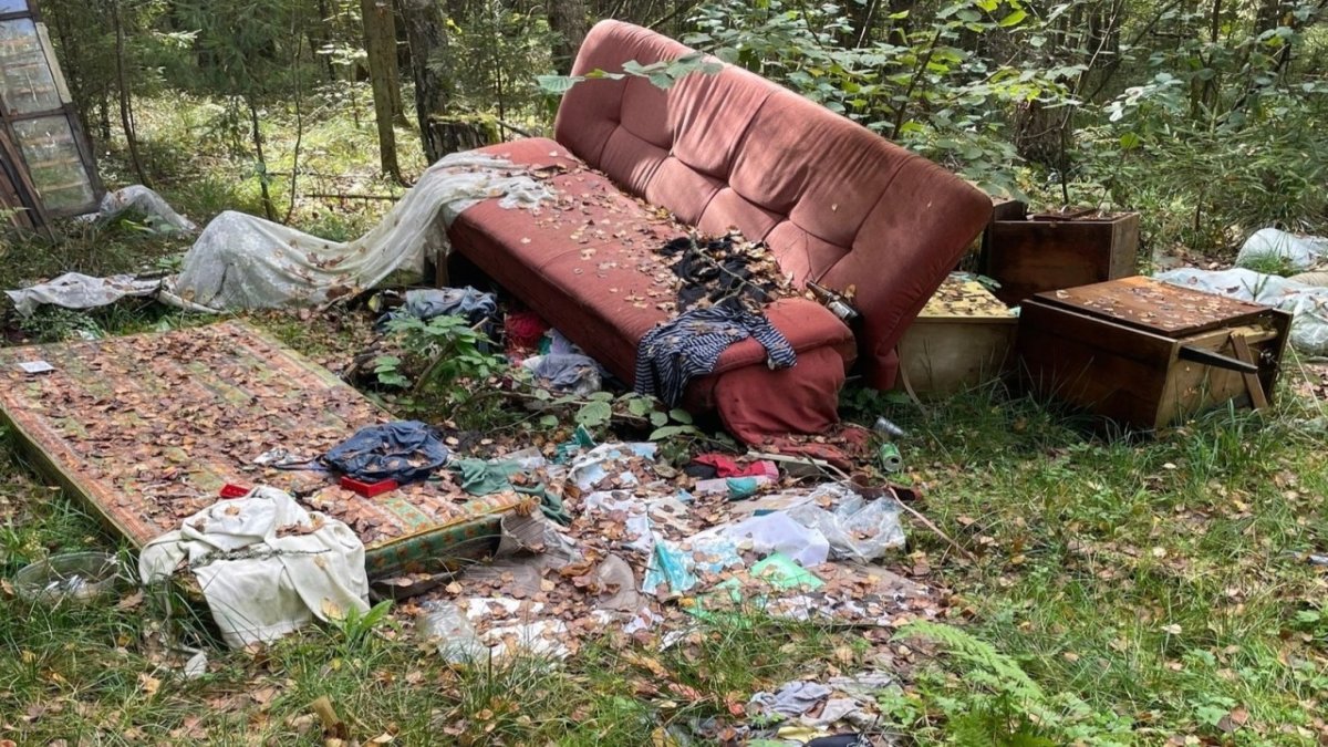 Старый диван и прочий хлам лежат в лесу летом.