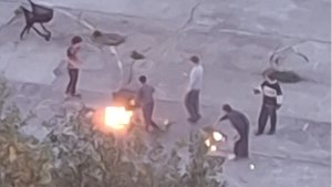 Ломают и жгут в овраге: на улице Щербакова в Мурманске вандалы портят магазинные тележки