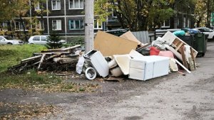 «Свозят строительный мусор и даже пищевые отходы от кафе»: в Мурманске двор превратили в нелегальную свалку