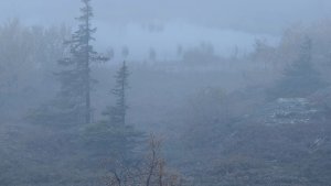 Мурманская область погрузилась в сказочные сентябрьские туманы — туристы восхищены