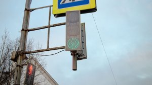 Изучить дорожные знаки и покататься на самокатах: юных мурманчан позвали в «Путешествие на зелёный свет»