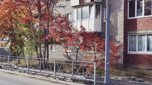 Забор больше не выгонит на дорогу: в Никеле строят безопасный тротуар к клубу «Ветеран»
