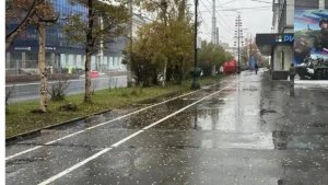 В Мурманске обновят оживленный тротуар на проспекте Ленина возле «Дома торговли»