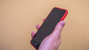 Узнать всё о прививках: жители Мурманской области могут узнать о профилактике гриппа на горячей линии