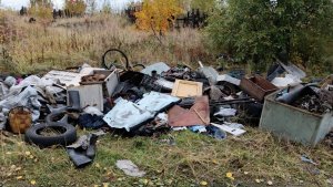 «Как будто выкинули из гаража»: на берегу в Кандалакше обнаружили крупную свалку