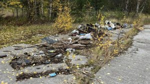 «Еще одну свалку сделали дачники»: возле АЗС в Енском выросла гора отходов