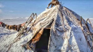 Чум вместо квартиры при -50°C: почему ямальцы счастливы — свобода дороже бетона, здоровье крепче
