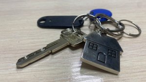 В Мурманске девятиэтажку оккупировали блохи: ребенок в больнице, жильцы бегут из дома