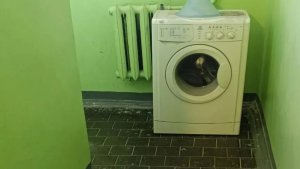 В Мурманске жильцы многоэтажки устроили «прачечную» в подъезде