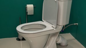 В Ковдоре дворнику пришлось вручную убирать разбитый на крыльце унитаз