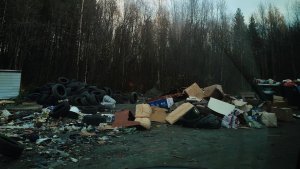 «Ужас, что творится»: у старого кладбища в Оленегорске обнаружили свалку отработанных шин