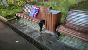 «Объявлений не было»: мурманчане испортили одежду на свежевыкрашенных лавках в центре города