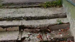 «Бетон рассыпался, обнажилась арматура»: на Полухина в Мурманске разрушается лестница к подъезду