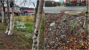 «Здесь даже селятся утки»: мурманчане просят ликвидировать вечный коммунальный ручей на Калинина