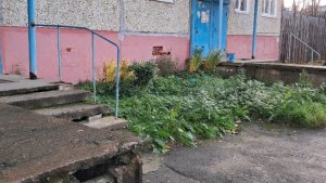 «Просто не знаю, к кому ещё обратиться»: пожилая апатитчанка с мая просит УК установить перила у подъезда
