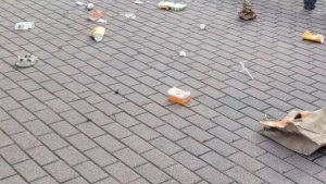 «За месяц превратилась в свалку»: в Североморске чистая площадка на Полярной снова утонула в мусоре