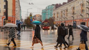 В Мурманской области объявили штормовое предупреждение из-за ветра до 20 м/с и ливней