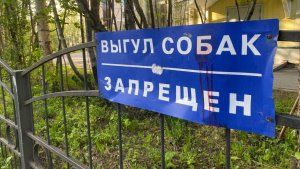 В Заполярье завели 220 дел на владельцев собак за самовыгул и укусы