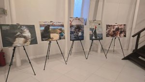 «За каждым кадром — тёплая история»: в Мурманском океанариуме представили уникальные фото животных-артистов