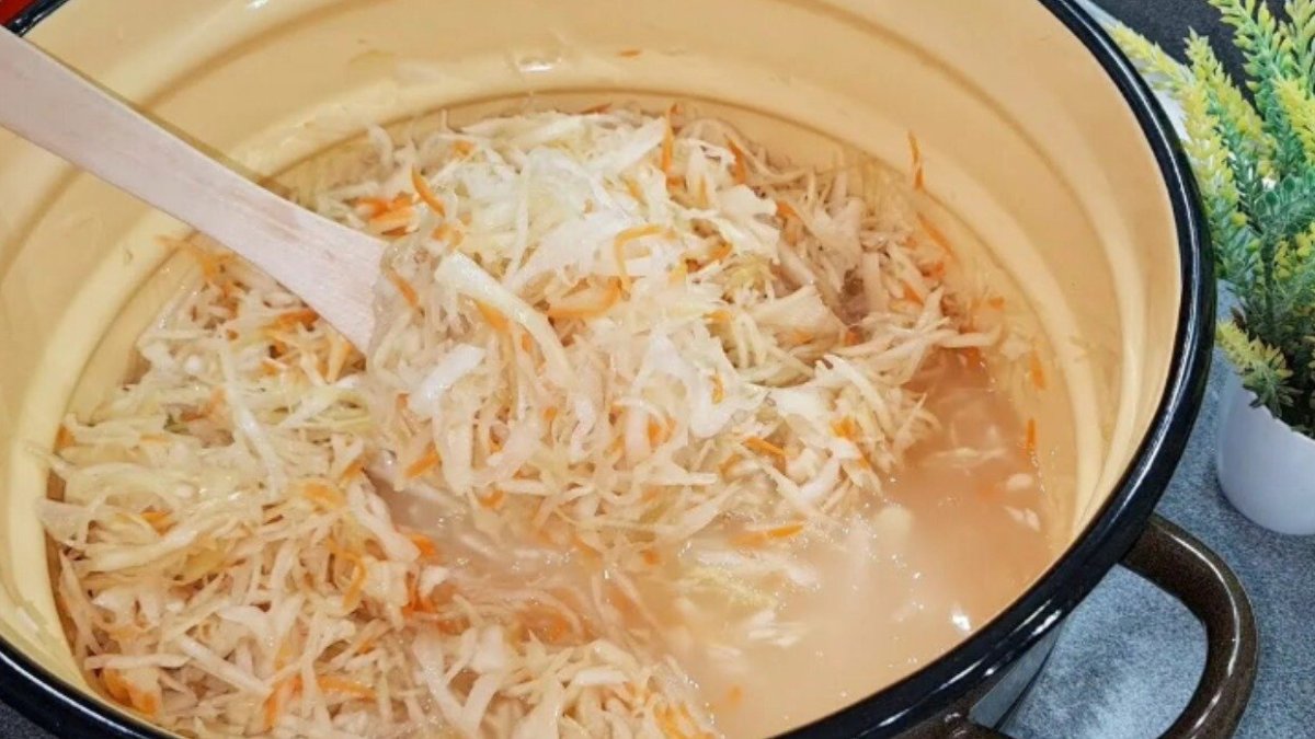 квашенная капуста