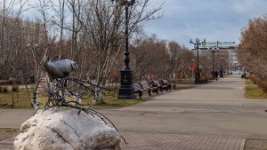 В Мурманской области октябрь закончится аномальным теплом до +11°