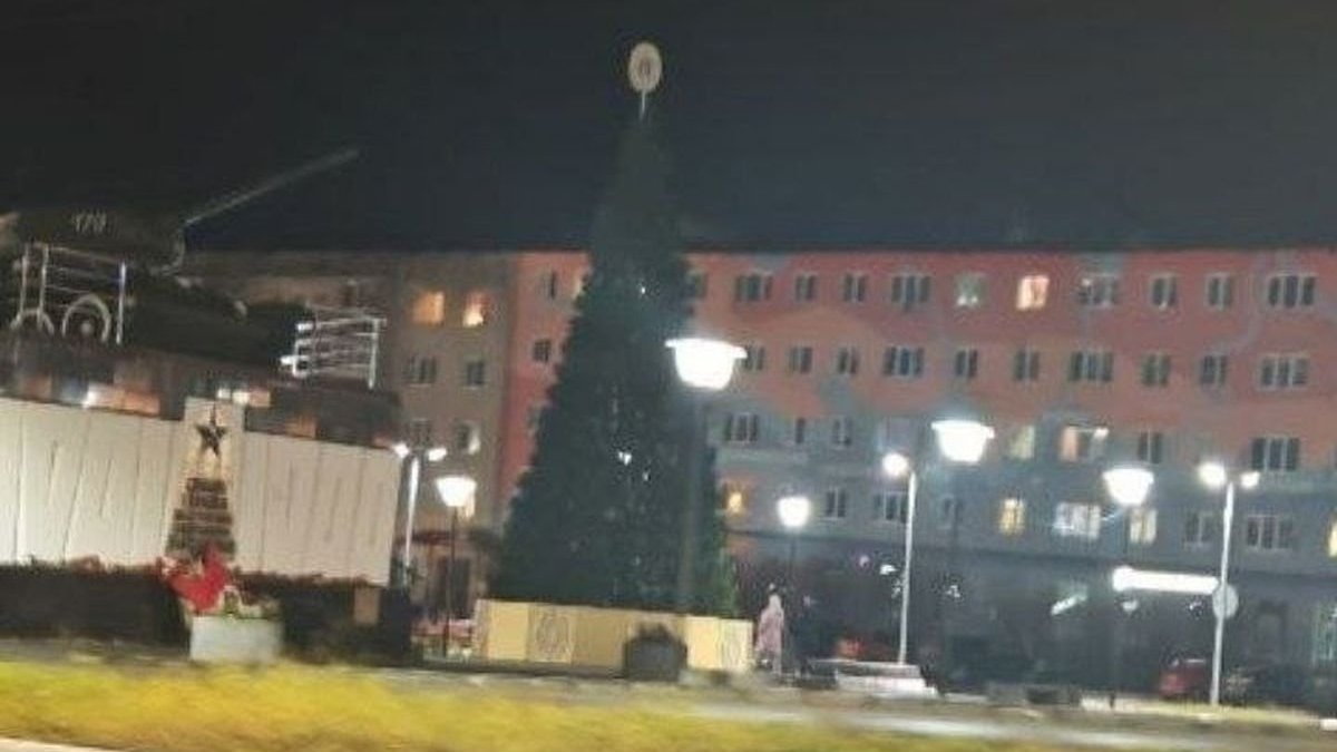 Не наряженная новогодняя елка стоит в темное время суток в городе.