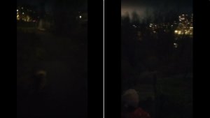 «Ужас без света»: на улице Ломоносова в Мурманске дети идут в школу с фонариками