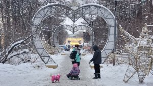 Осмотрите швы и поднимите руки: северянам рассказали, как выбрать качественный пуховик
