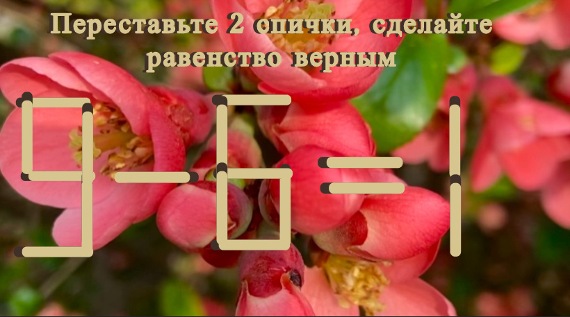 Ломаем голову: зарядка для мозга недолго и интересно